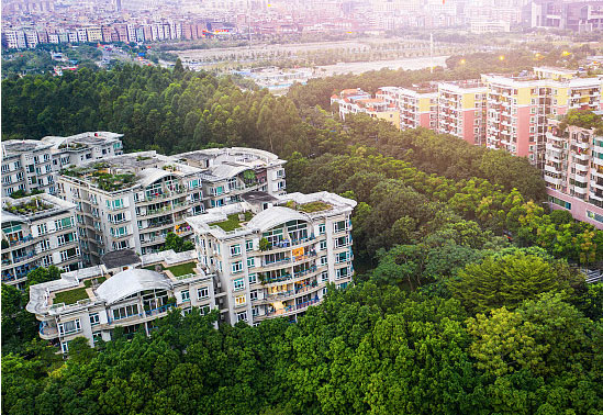 黄瓜视频在线播放污