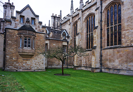 黄瓜视频在线播放污